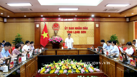 Họp xem xét dự thảo Nghị quyết của Hội đồng nhân dân tỉnh về một số chính sách hỗ trợ đầu tư trên địa bàn tỉnh