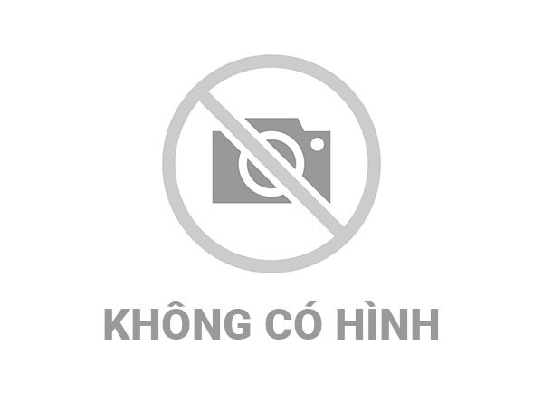 Đồng chí Đoàn Thanh Sơn, Phó Chủ tịch UBND tỉnh kiểm tra tình hình xuất nhập khẩu qua lối thông quan Cốc Nam - Lũng Nghịu và lối thông quan Tân Thanh - Pò Chài