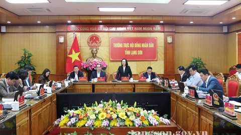 Thường trực HĐND tỉnh tổ chức họp phiên chất vấn về tình hình, kết quả thực hiện xây dựng giá đất cụ thể tại các dự án trên địa bàn tỉnh